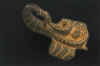 SnakeScorpioFight-SoapStone3000BC-Jiroft-CHN.jpg (20127 bytes)