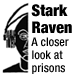 Stark Raven Media Collective