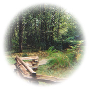 Tynehead Regional Park (Surrey)