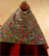 CostumeZandaee2.jpg (184038 bytes)