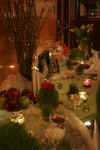 Novrooz Celedration 2007 004 (2).jpg (28416 bytes)