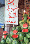 Yalda_Melon.gif (24200 bytes)