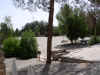 P1010066.JPG (117474 bytes)
