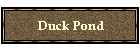 Duck Pond