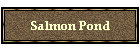 Salmon Pond